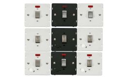 Definity Screwless Flatplate Ingot 20A DP Switches With Flex Outlet