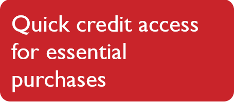 Government credit account benefit statement